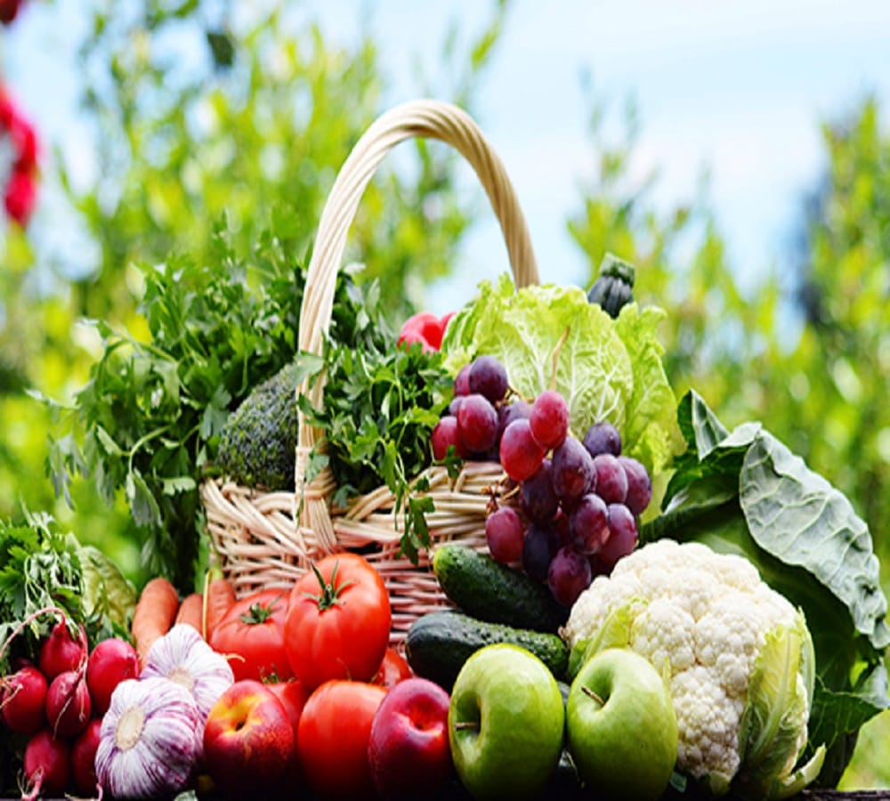 These tips will help you to secure your food in monsoon season 