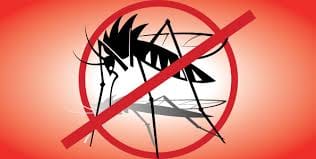 Health department cautions about dengue