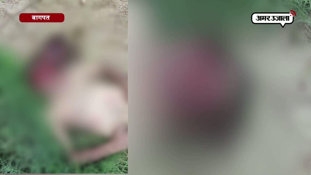 बागपत