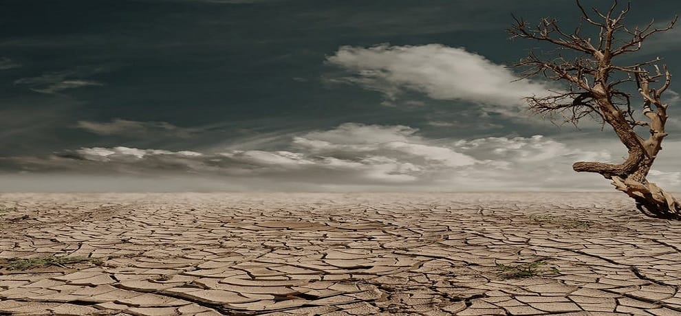 Hathras in the desert, Mathura second in number