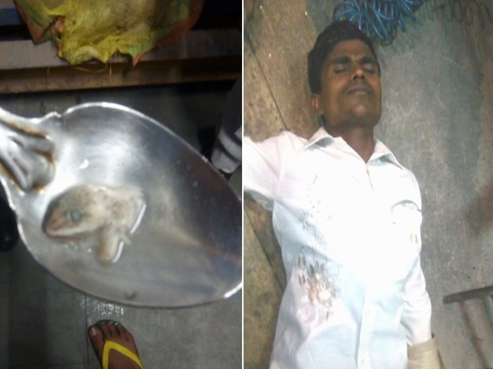 Lizard found during eat in food fifteen people hospitalized