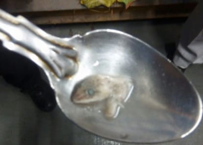 Lizard found during eat in food fifteen people hospitalized