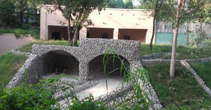  lucknow zoo lioness dies.