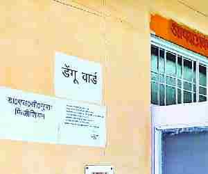 Two more dengue patients found