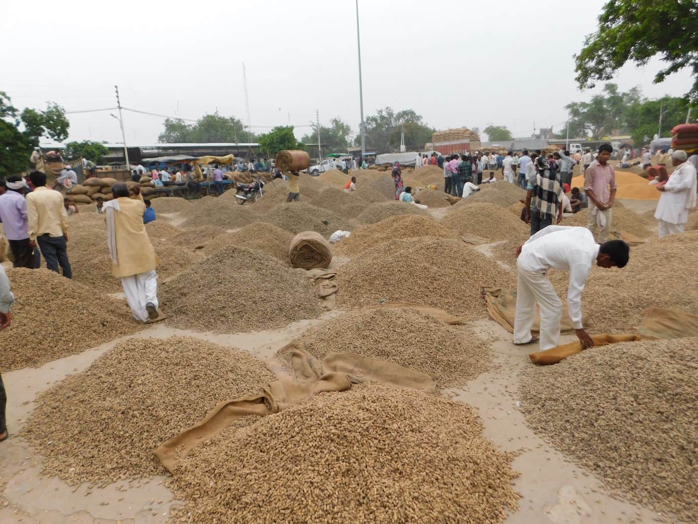 cause of serious allergy this person not allowed to kiss