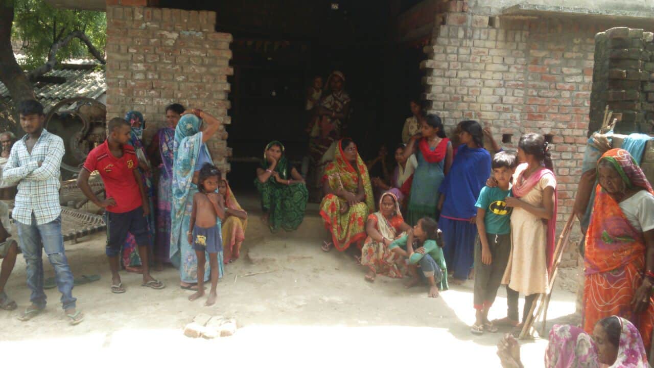 nag panchami 2017, unique tradition, no snake killing in haryana village 