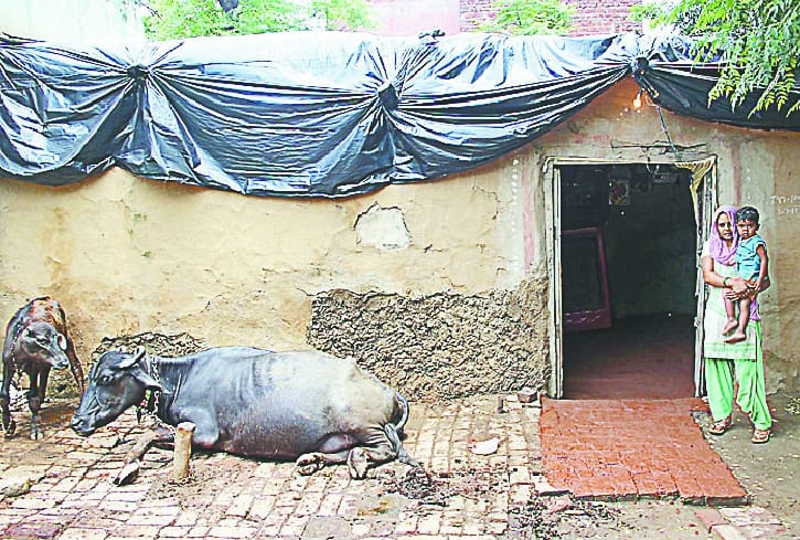 People living in a raw house in the village for the commissioner's adoption