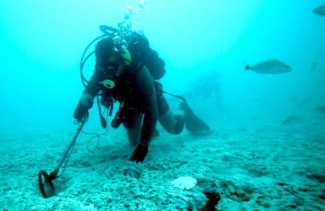 Geologists discovered seabed ‘treasure’ in Indian waters 