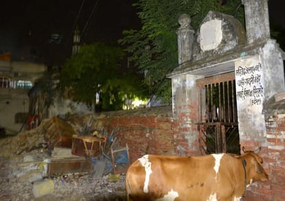 varanasi heavy chaos in two community for cow dispute