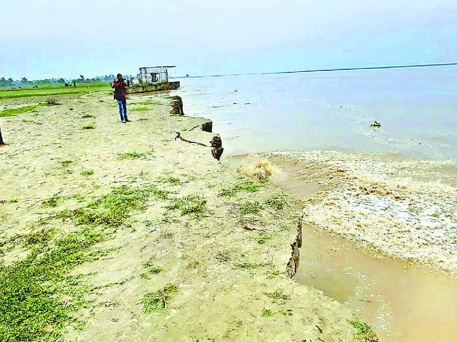 consists of four houses and 85 bigha land