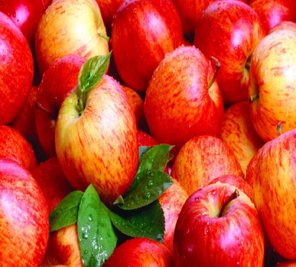 try this apple kheer during Navratri fast