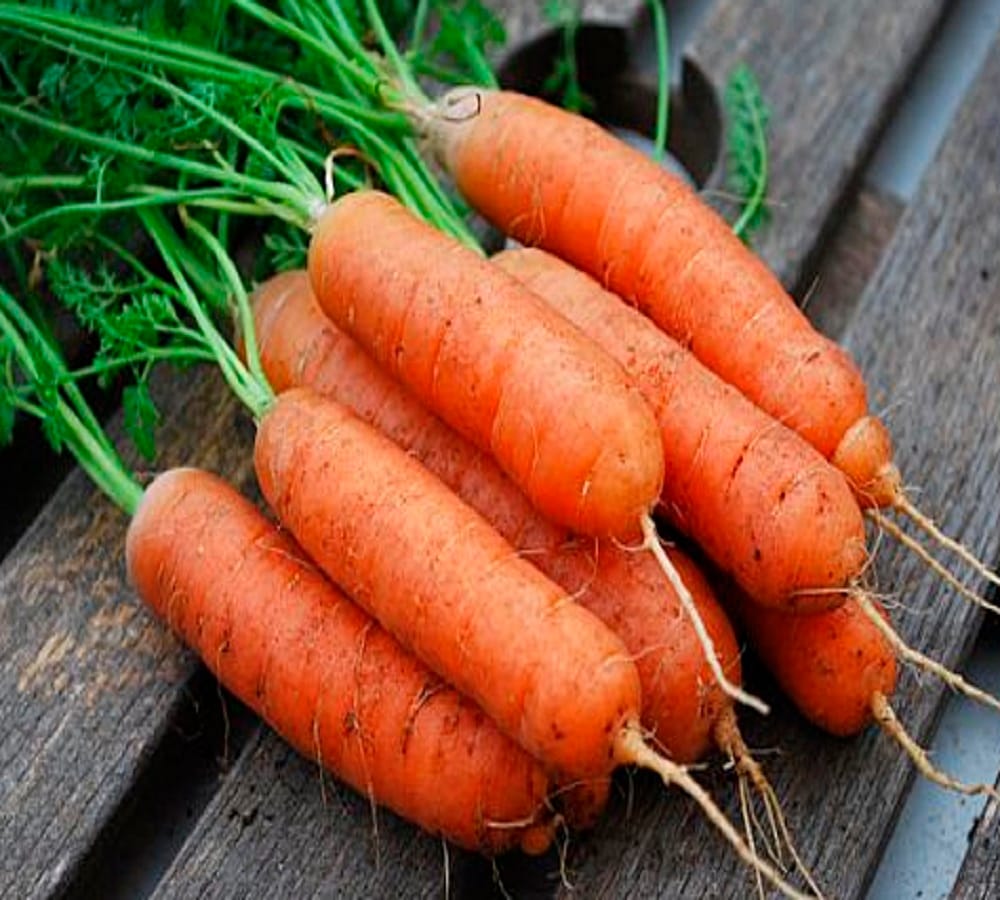 Stop eating these baby carrot urgently otherwise you will become ill 