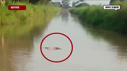 DEAD BODY FOUND IN RIVER IN BAGHPAT