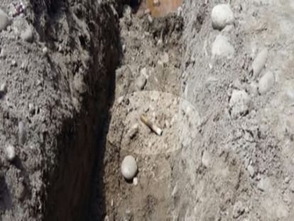 reality of bomb found in haridwar