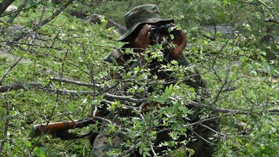 mysterious training camp going on in jungle