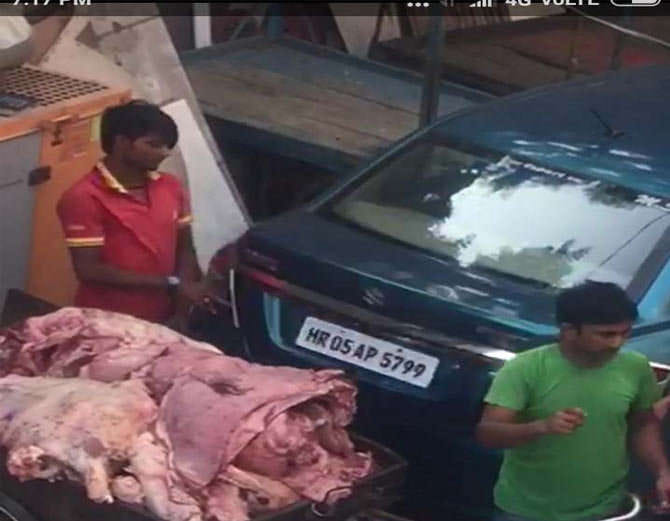 bjp party flag on Meat dealer car at haryana