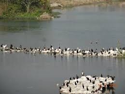 Several bigha land deposits in the Ganges