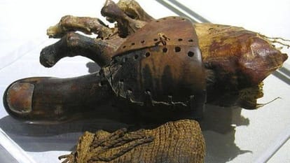  Why were ancient Egyptians enthusiastic about circumcision?