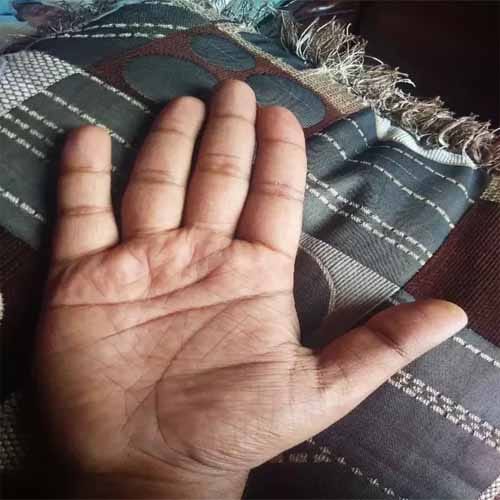 palm shape can predict your destiny
