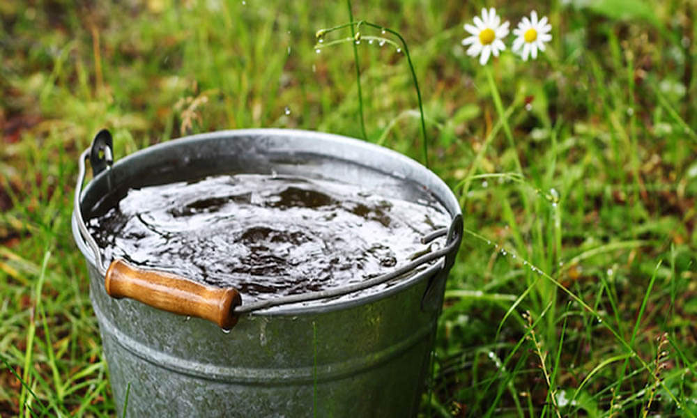 totke of rain water, this type of water can relief you from debt