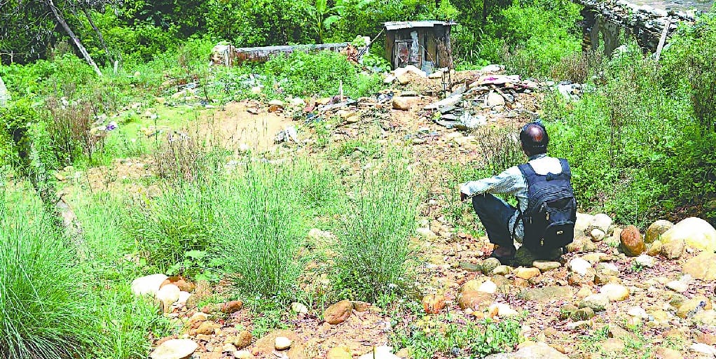 कटरी के जंगल बने बदमाशों की शरण स्थली