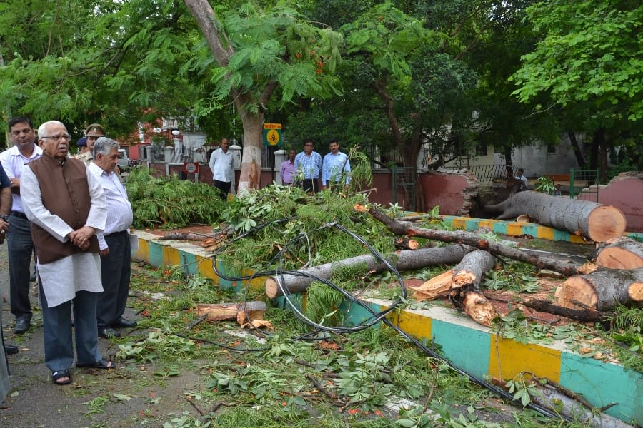 governor ram naik came out to see a tree falls because of rain in Lucknow.