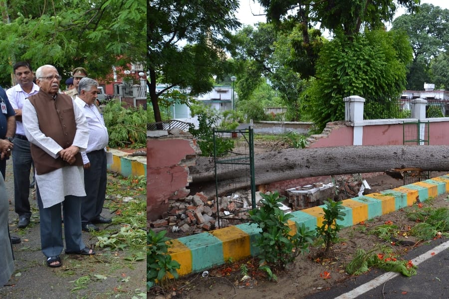 governor ram naik came out to see a tree falls because of rain in Lucknow.