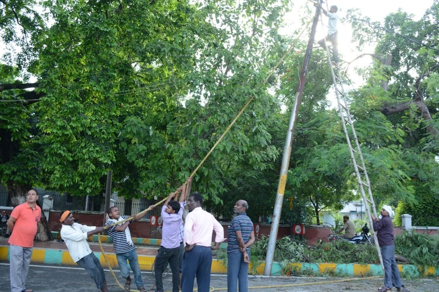governor ram naik came out to see a tree falls because of rain in Lucknow.