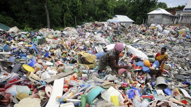 Plastic waste equivalent to 100 million elephants