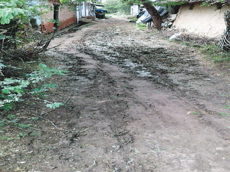 Dalits do not have electricity, water and roads