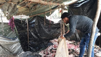 Supply of kebabs to the hotels was going on dead animals