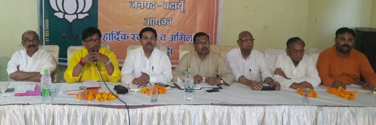 BJP wins due to collective effort