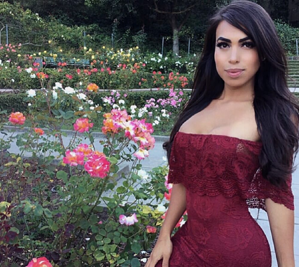  Model Arrested During Alleged Nude Assault On Police