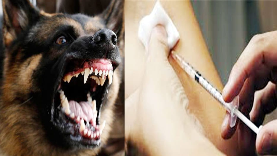 injection have failed Joya dies due to dog bite