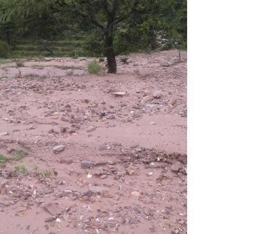 Two hundred nullahs of agricultural land are transformed into Rokkhad