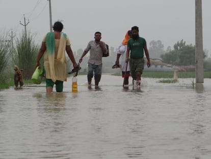 man died due to no pontoon bridge on beas dariya