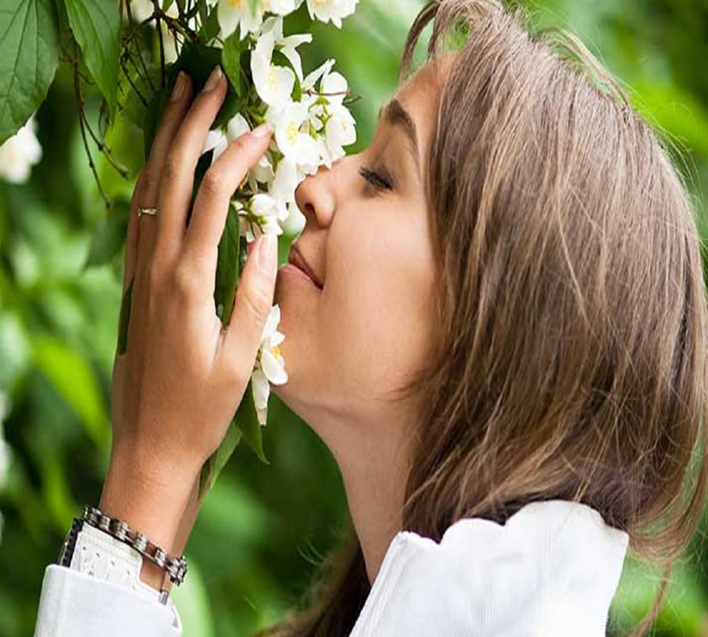 If you are not sleeping at night then plant this tree in bedroom 
