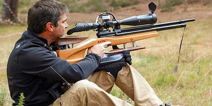 License required for air guns sale