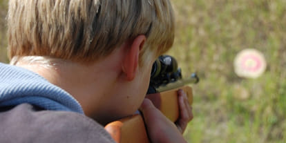 License required for air guns sale