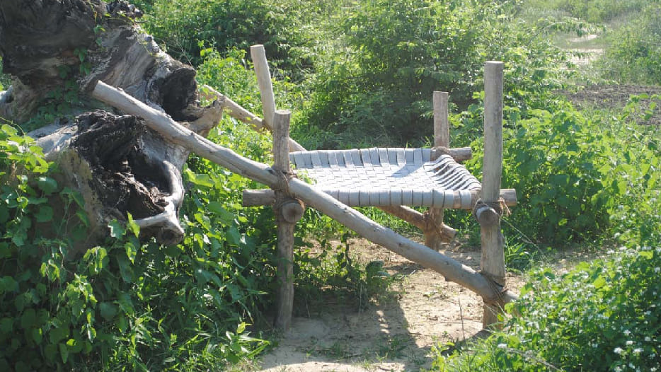 like Jungle atmosphere in Etawah Safari