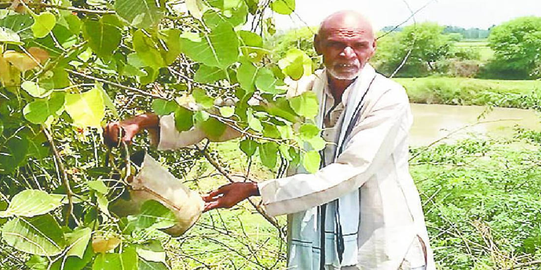 Ram Jiyawan many Plantation at graveyard