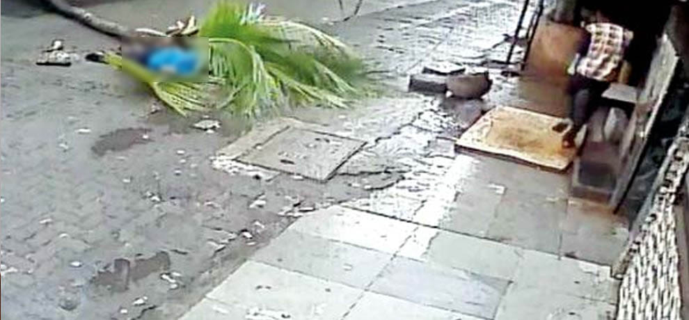 woman died when a tree falls on her head in Mumbai