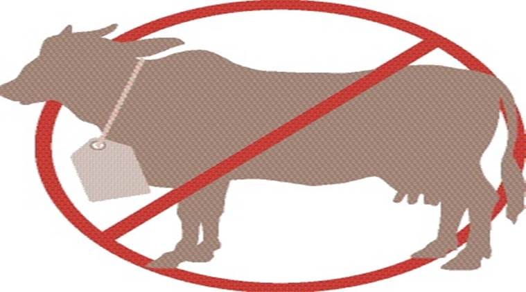villagers misbehaved to police men , when the reached on the information related cow slaughtering 