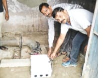 Water released after ten years from the government tube well