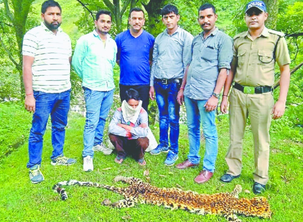 police arrested a man with leopard skin