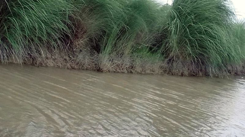 कादरगंज पर कटान से ग्रामीण चिंतित