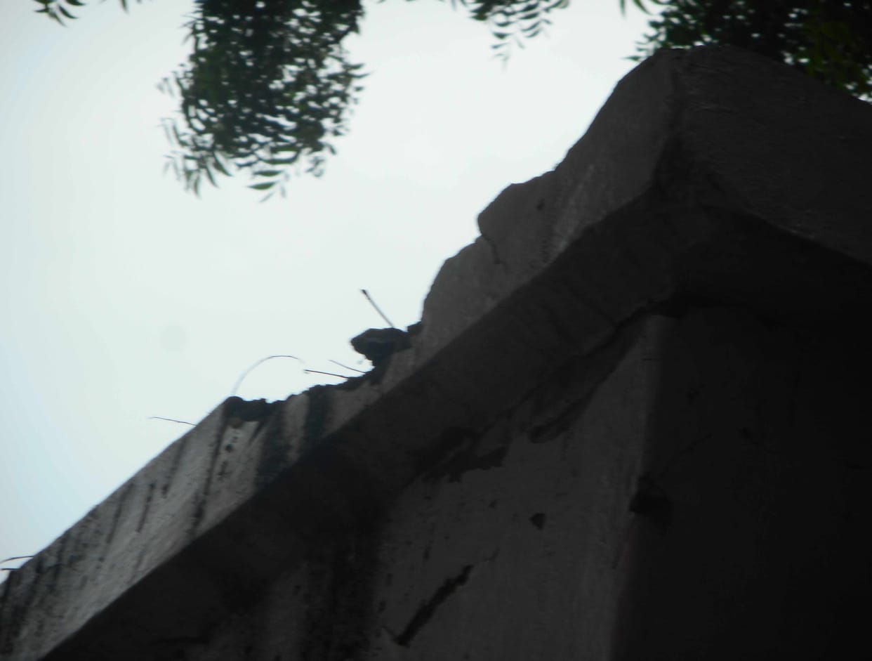 स्कूल पर गिरी बिजली, हेडमास्टर समेत दो झुलसे