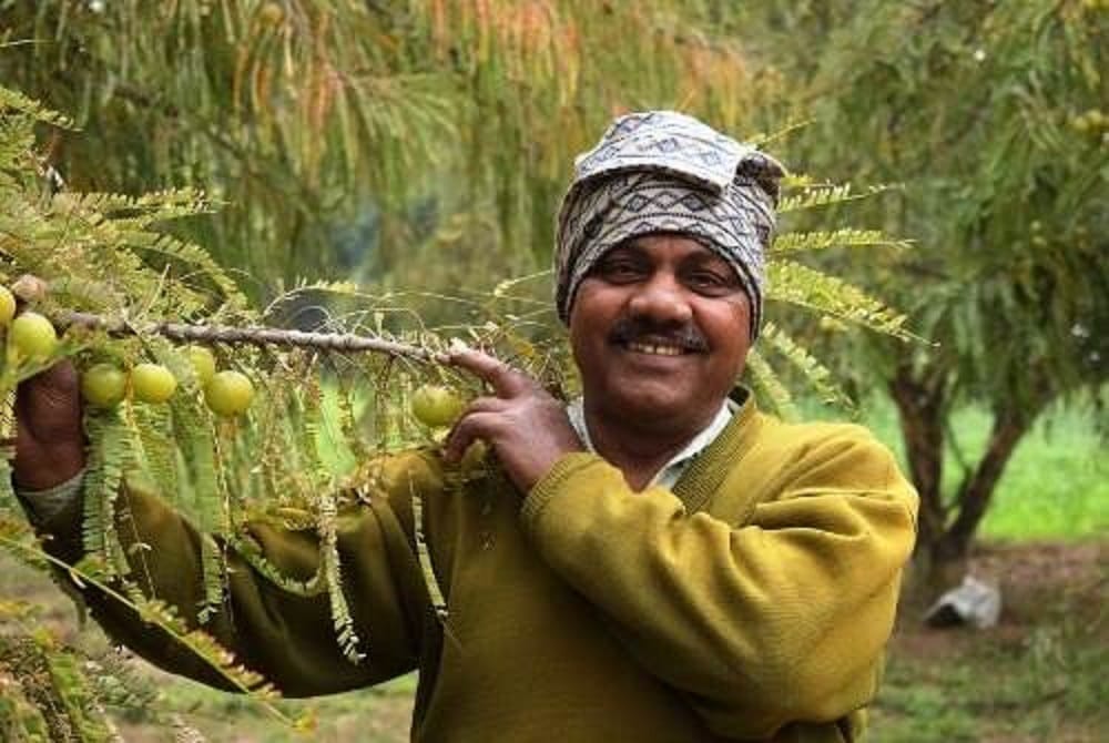 farmer becomes crorepati with a piece of land earing the turnover of 26 lakhs know success story