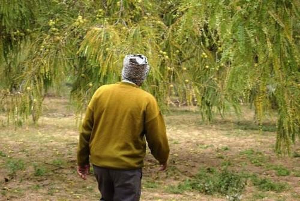 farmer becomes crorepati with a piece of land earing the turnover of 26 lakhs know success story