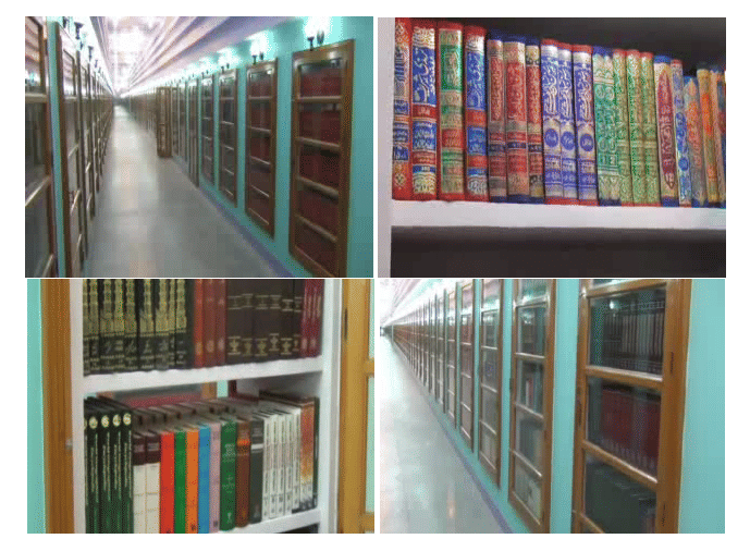 CHINA Librarian Charge Charge from inquiry committee member